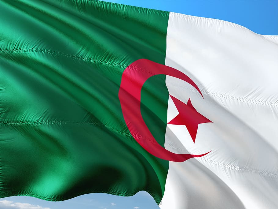 international, flag, algeria, patriotism, wind, red, environment, green color, nature, leaf