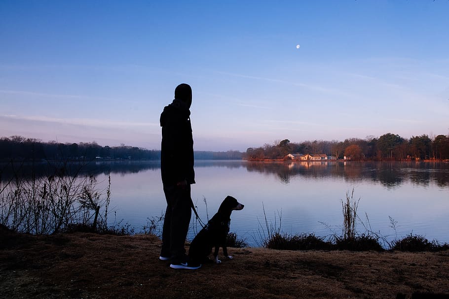 people, man, silhouette, alone, dog, animal, moon, clouds, sky, lake