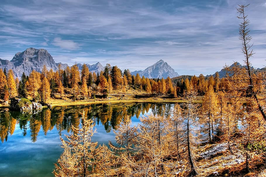 calm, body, water, surrounded, trees, daytime, dolomites, mountains, italy, alpine