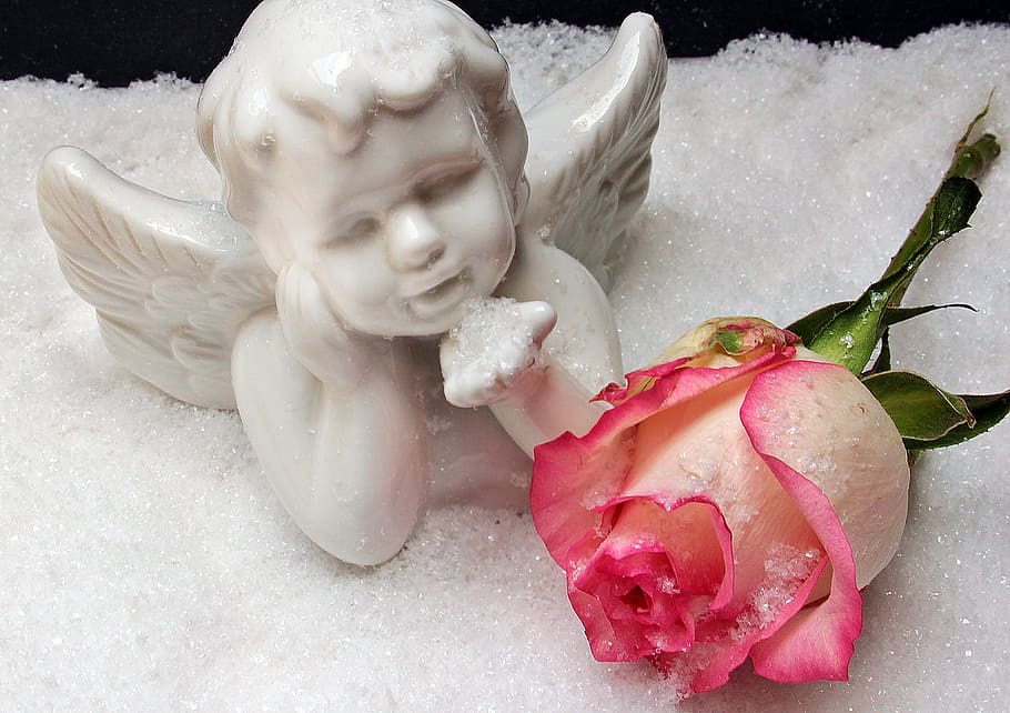 angel, angel figure, rose, snow, christmas, weihnachtsbaumschmuck, christmas ornaments, decoration, christmas time, sparkle