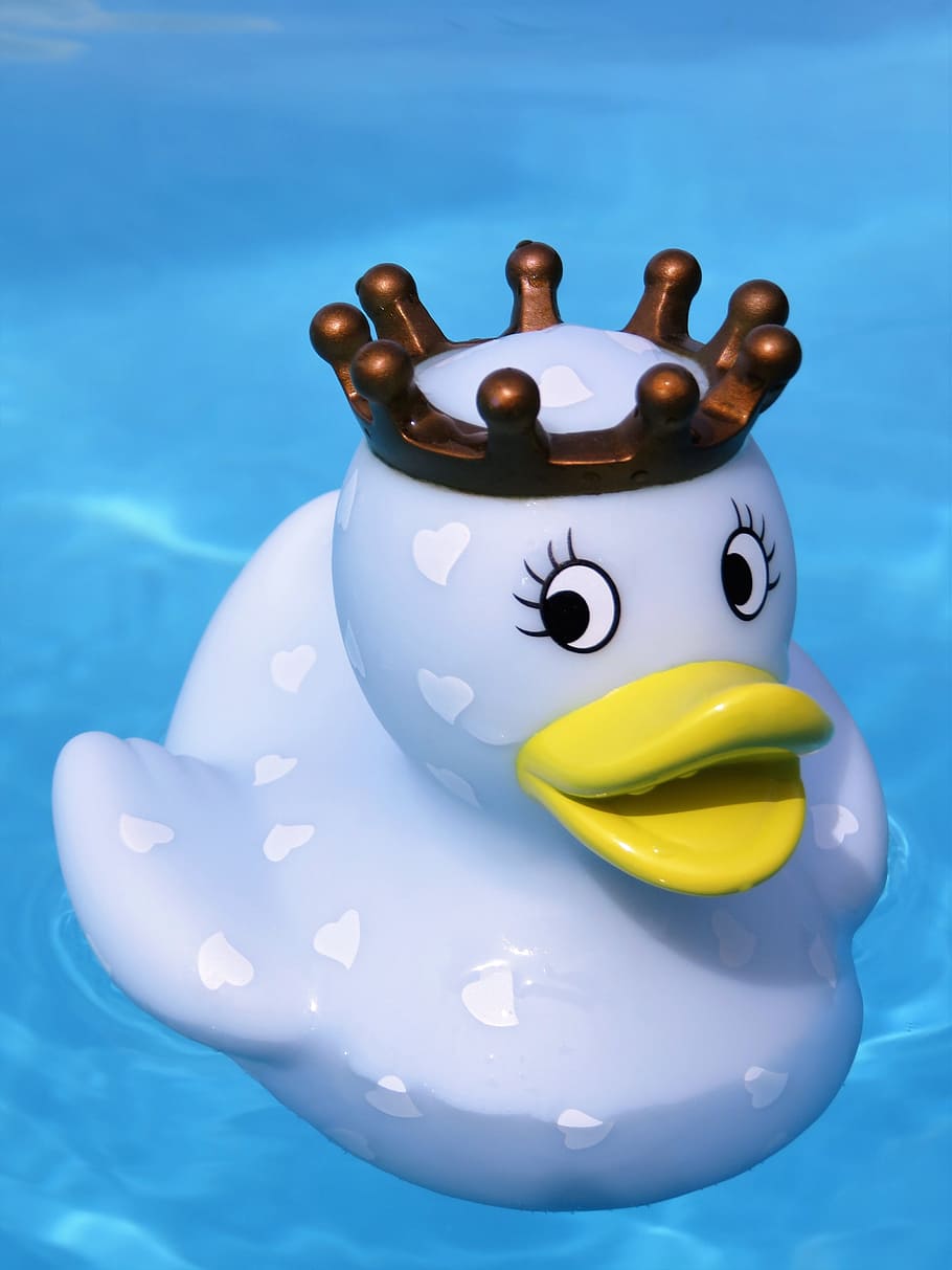 bath duck, quietscheente, rubber duck, swim, funny summer, queen, fun bathing, blue, swimming pool, water