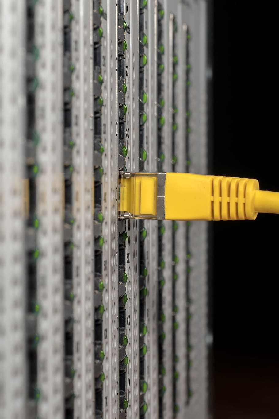 cable eléctrico amarillo, servidor, gabinete del servidor, red, cable, cable de conexión, cables de red, rj45, procesamiento de datos, lan