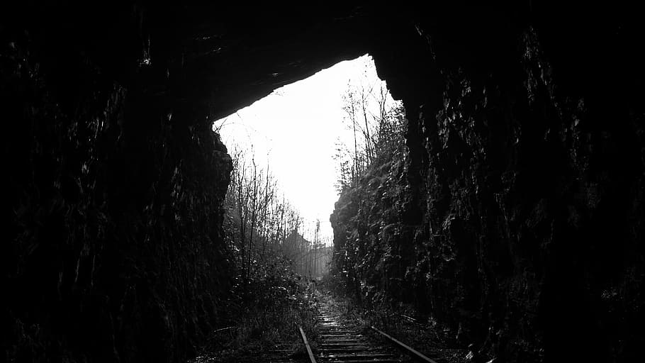 untitled, nature, landscape, train, trail, rail, tunnel, trees, the way forward, day