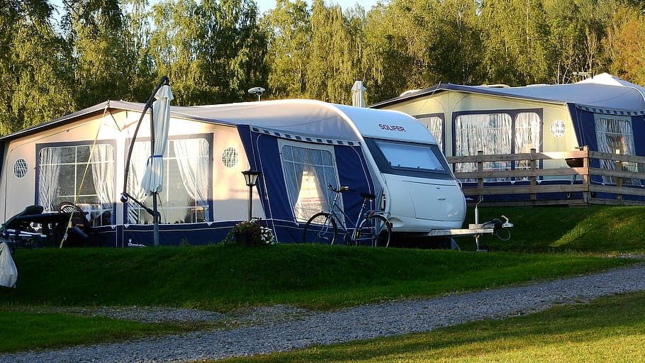 three, motorhome, caravan, camping, tent, holidays, plant, transportation, tree, mode of transportation