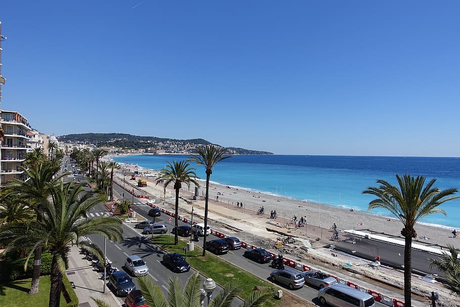 nice, france, french riviera, sea, water, sky, palm tree, clear sky, beach, horizon over water