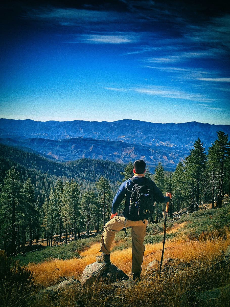 Adventurer, Walker, Mountain, Blue, mountain, blue, colors, trees, forrest, hiking, clouds