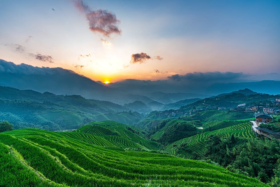 terraço, nascer do sol, viagem, paisagem, china, guilin, paisagens - natureza, beleza da natureza, céu, cena rural