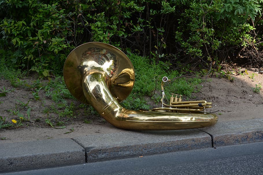 Tuba, Musical Instrument, Brass Band, brass instrument, shine, traditionally, brass, golden, outdoors, day