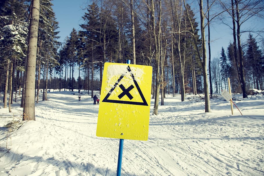 ski slope, ski holidays, winter sports, shield, snow, holiday, winter, alpine, nature, cold