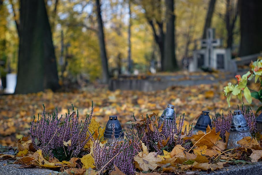 shallow, focus photography, dried, leaves, cemetery, old cemetery, the tomb of, candle, tombstone, necropolis