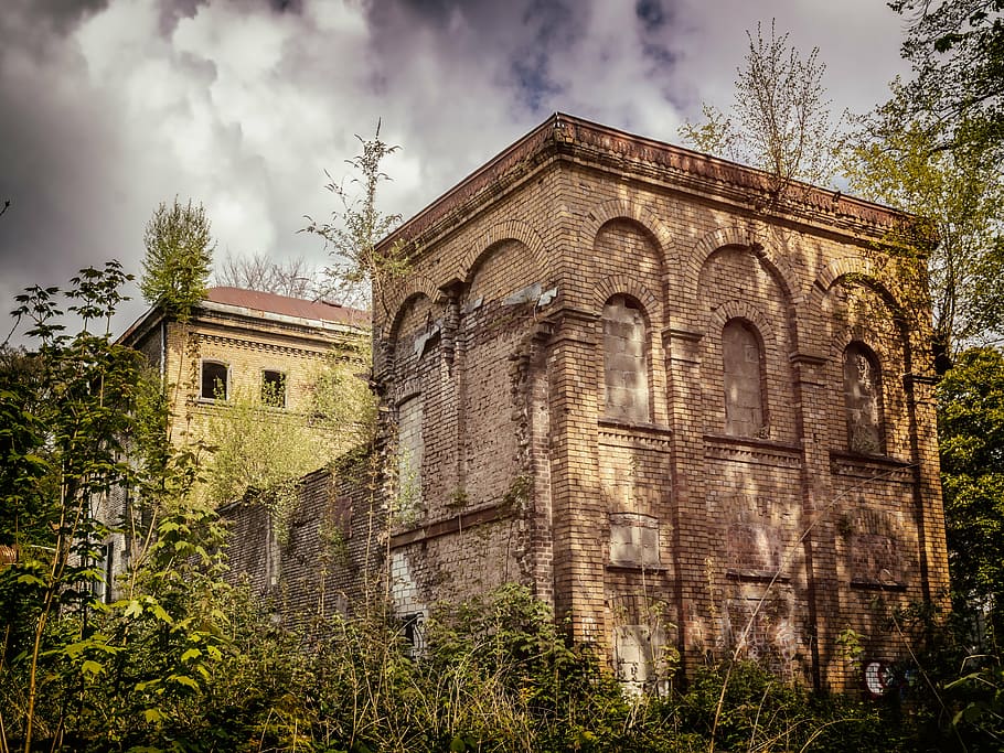 brown, painted, building, green, leafed, trees, lost places, villa, home, gut