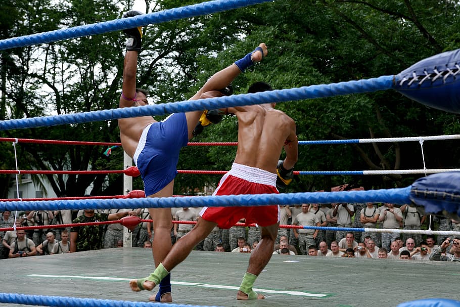 dua, pria kickboxing, di dalam, cincin, muay thai, demonstrasi, kompetisi, atletik, petarung, thailand