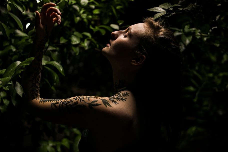 tattoos, plant foliage, Woman, plant, foliage, people, women, one Person, females, nature
