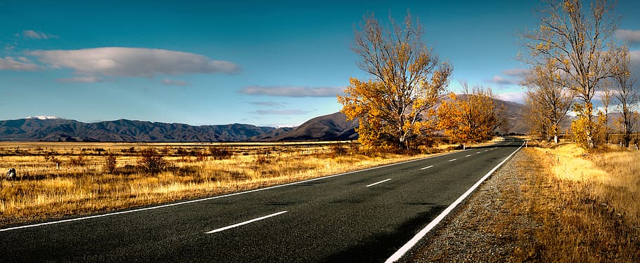 Autumn, road, black road between trees, sky, transportation, direction, mountain, the way forward, cloud - sky, tree