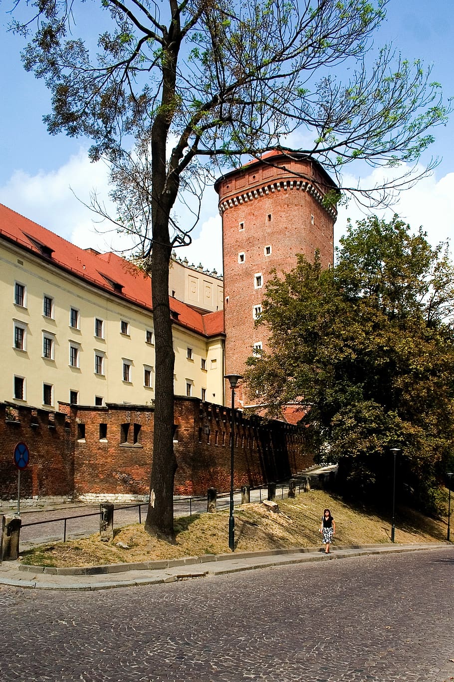 krakow, wawel, castle, poland, tree, architecture, building exterior, built structure, plant, sky