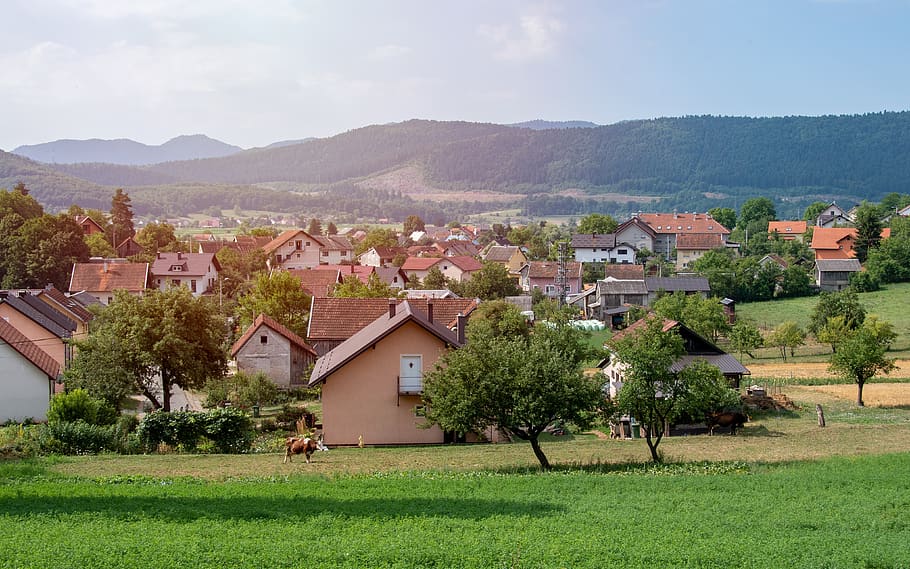 village, home, town, croatia, balkans, hill, west, evening, house, nature