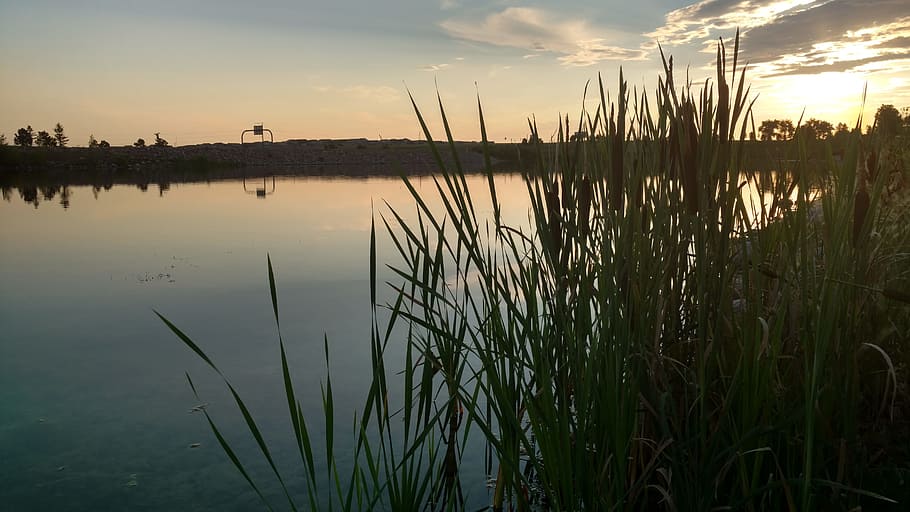 Nature, Pond, Lake, Water, Landscape, summer, sky, reflection, natural, blue