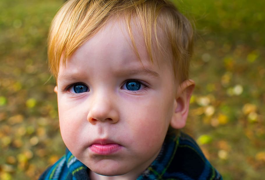 child, a serious, portrait, blue eyes, cute, blonde, bot, park, outdoors, autumn