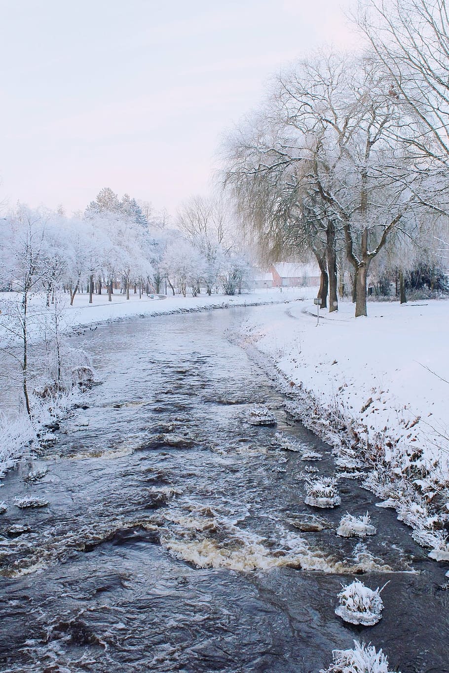 snowy, road, surrounded, trees, river, wintry, winter, landscape, snow, winter magic