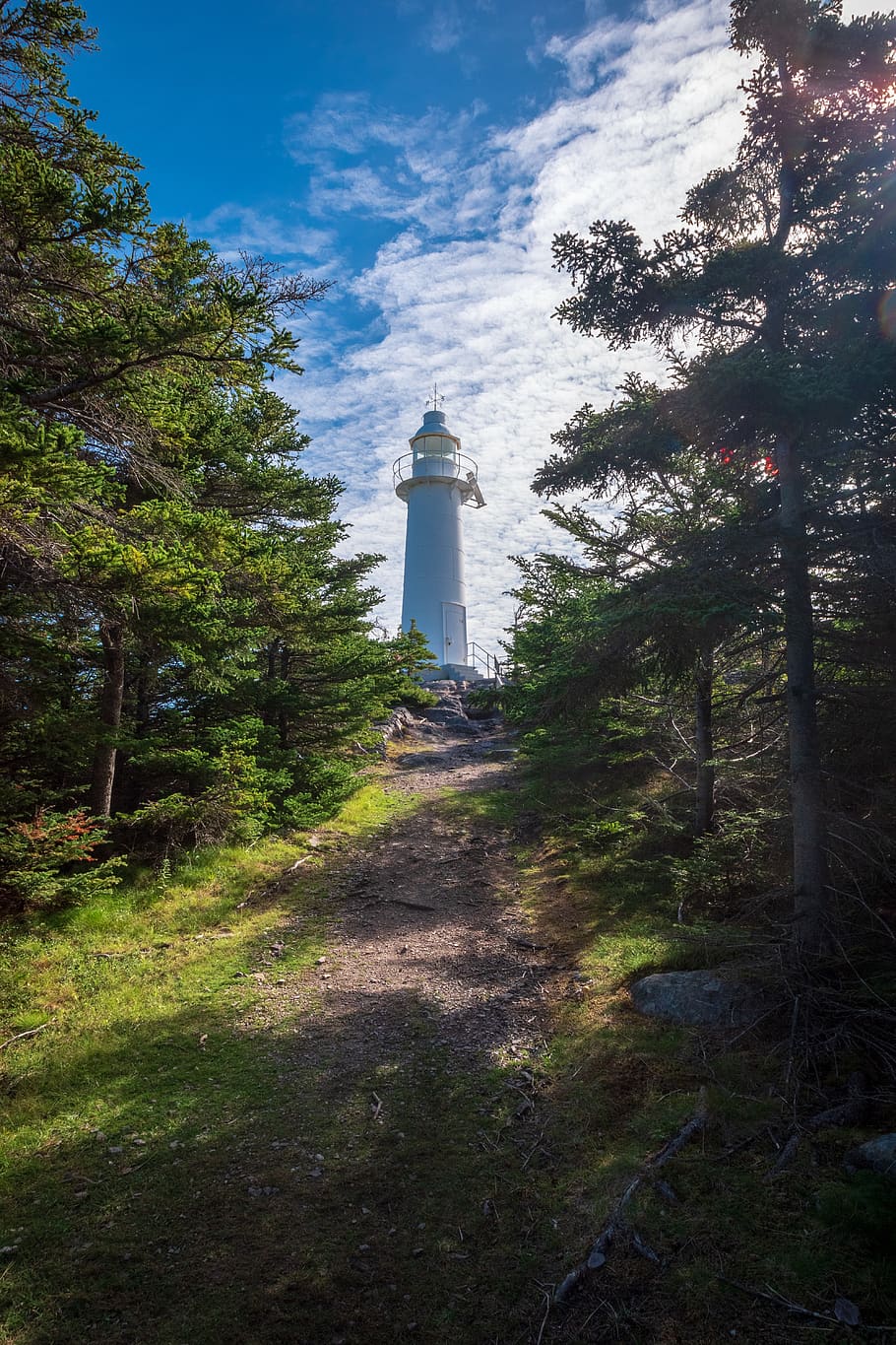 newfoundland, canada, kings cove, lighthouse, travel, nature, forest, trees, path, rest