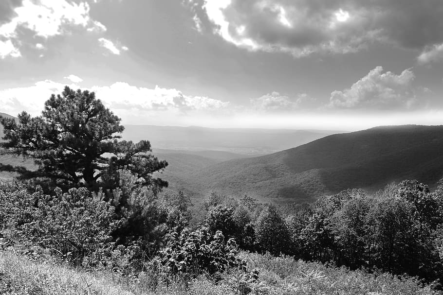 shenandoah valley, mountains, black and white landscape, serene, landscape, appalachian, clouds, scenery, sky, summer