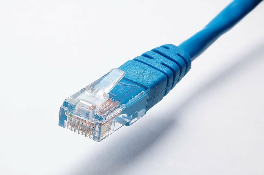 blue ethernet cable, network cable, network, cable, data, ethernet, communication, technology, connection, server