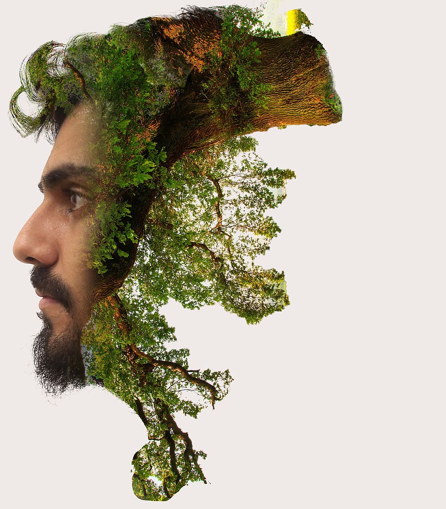 man, face, forest photo manipulation, double exposure, photoshop, layer, tree, nature, exposure, men