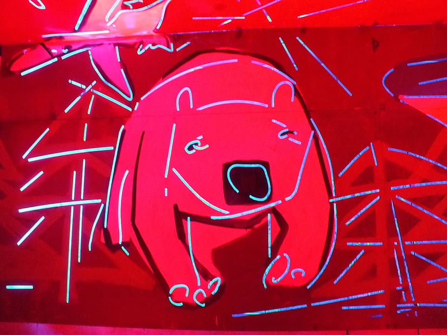 graffiti, neon, the bear, czech republic, red, communication, close-up, full frame, text, sign