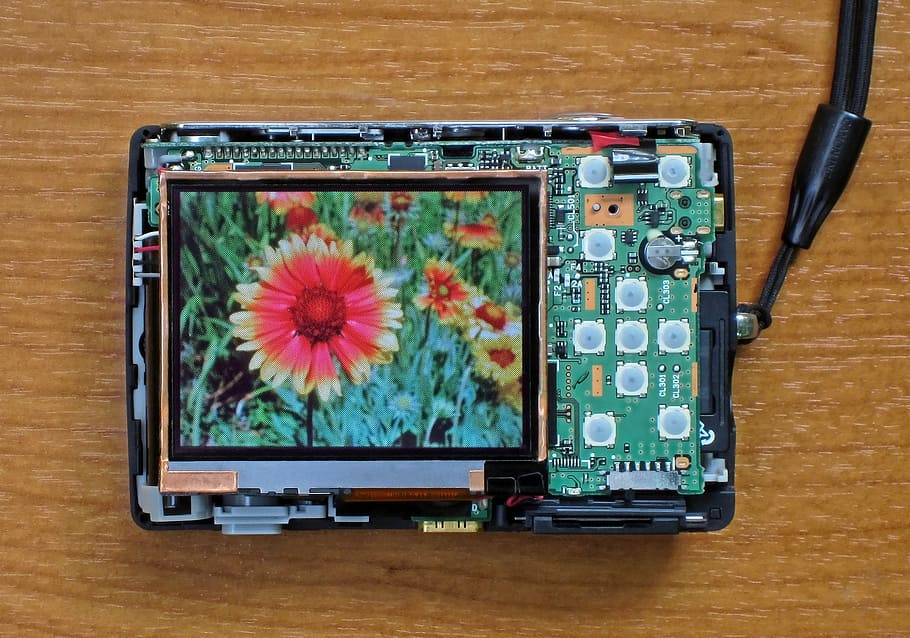 digital camera, flower, technology, screen, display, electronic, compact, real device, virtual world, connection