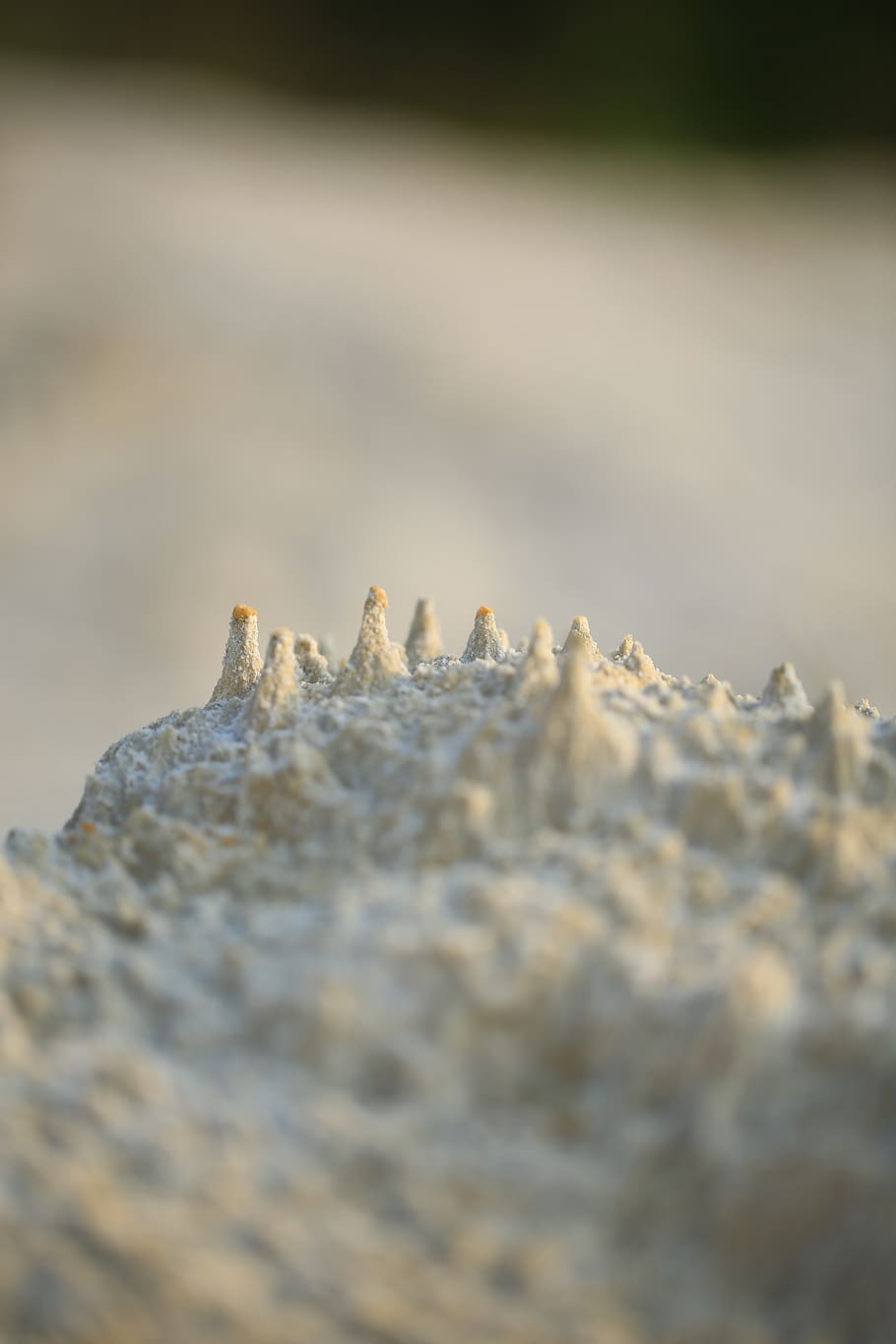 sand, stones, nature, mountains, kaolin, removal, weathered, selective focus, animals in the wild, animal wildlife