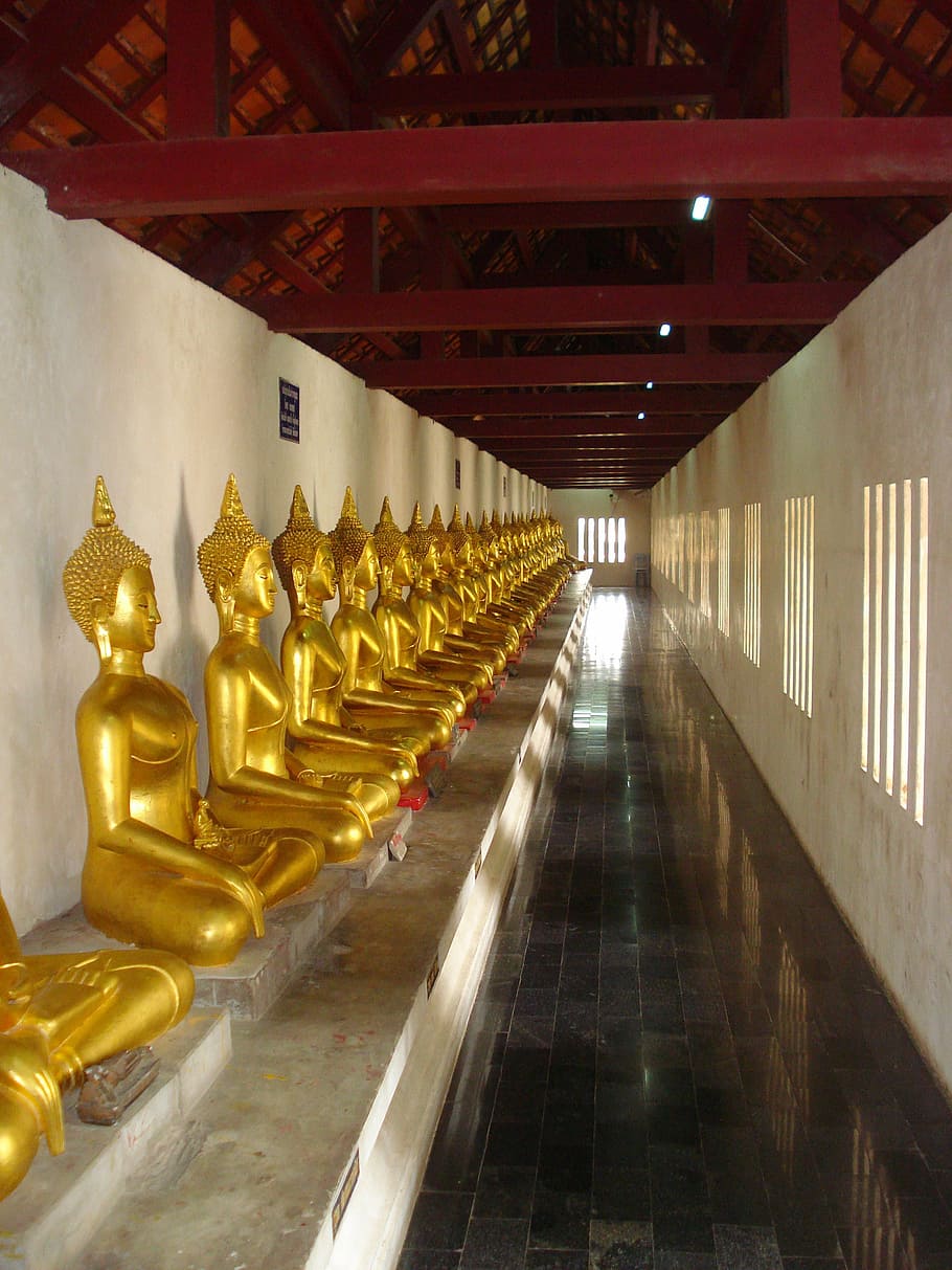 monje, tailandia, templo, budismo, religión, budista, cultura, buda, tailandés, creencia
