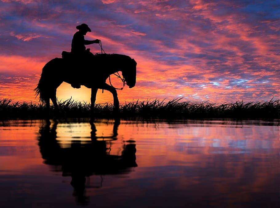 silhouette, man, riding, horse, field, sunset, reflection, dawn, water, lake