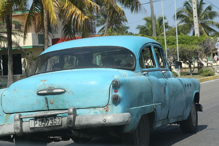 blue, vehicle, road, Car, Cuba, Havana, Oldsmobile, palm tree, transportation, outdoors