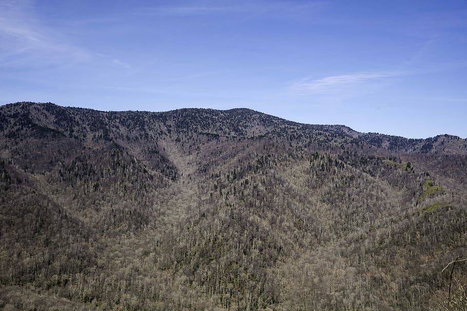 great, smoky, mountains, national, park, north, carolina, Mountaintops, Appalachians, Great Smoky Mountains National Park