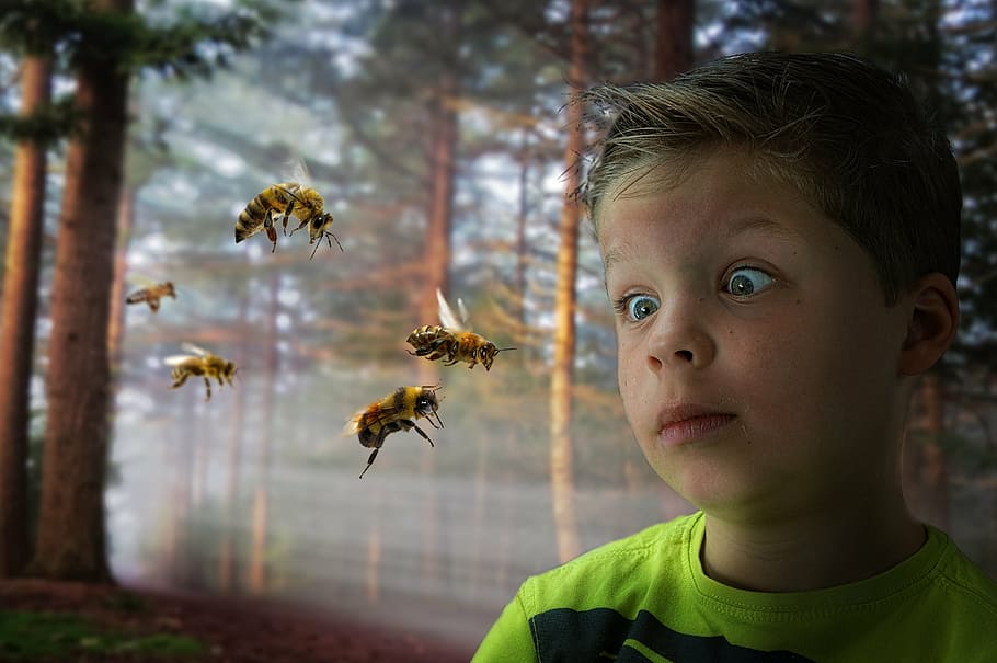photoshop, fantasy, science fiction, experiments, weird, child, boys, people, childhood, outdoors