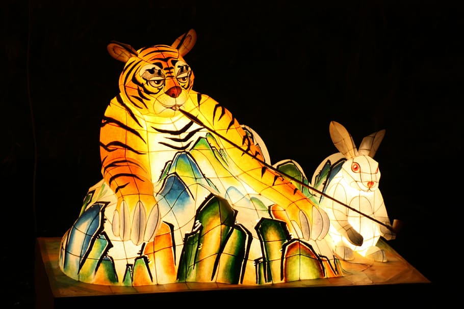tiger, lantern festival, cheonggyecheon stream, kkotdeung festival, isometric article, night, mammal, domestic animals, art and craft, illuminated