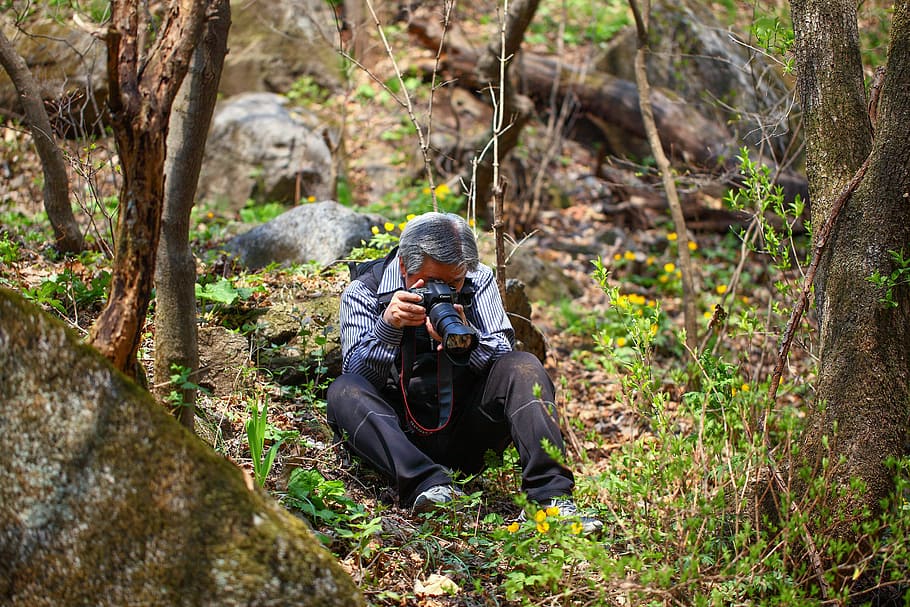 man, taking, plant, wood, nature, quest, mountain, photographer, shooting, camera