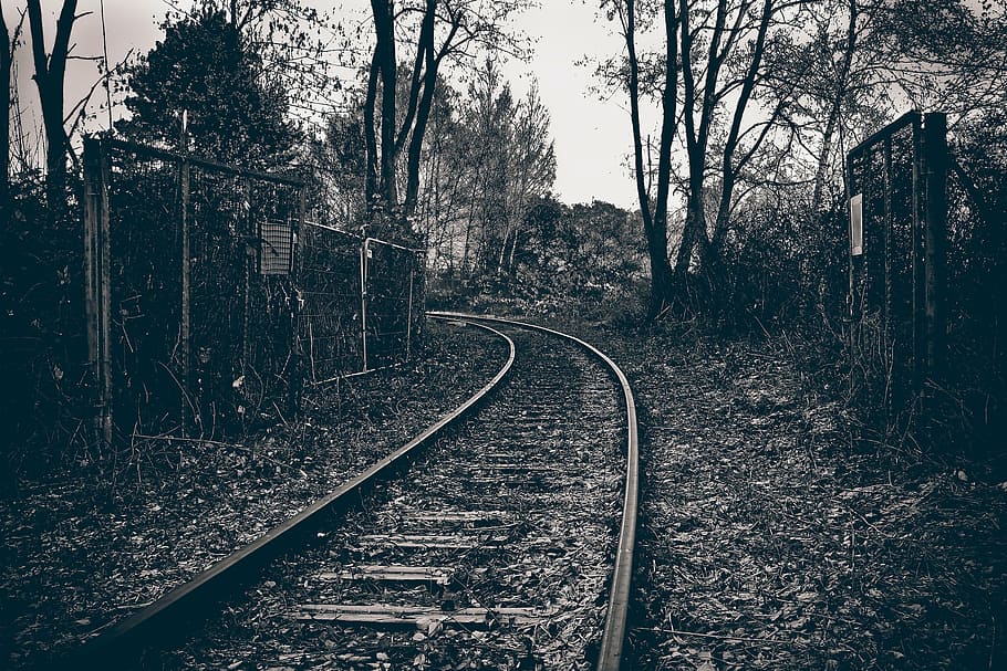foto em escala de cinza, trilho de trem, lugares perdidos, estrada de ferro, gleise, trilhos de trem, intemperizados, parecia, velho, aço inoxidável