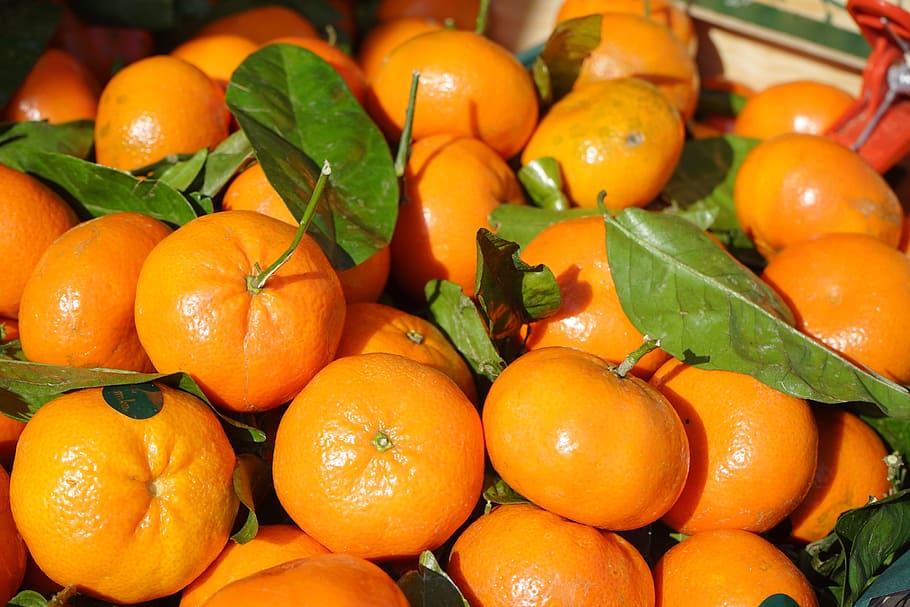 pile, orange, fruits, clementines, fruit, vitamins, clementine, citrus × aurantium, hybrid, citrus