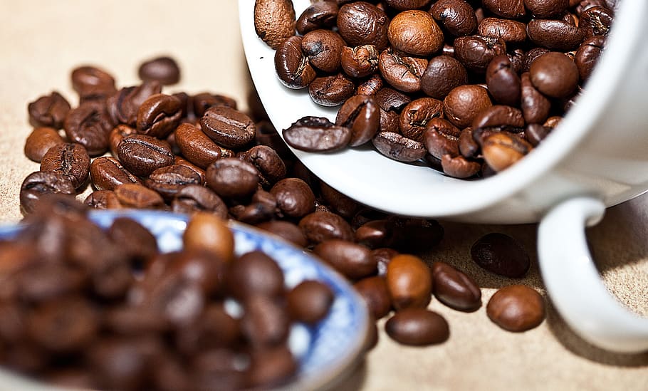 coffees in cup, Coffee Beans, Grain Coffee, coffee, roasted coffee, the variety of coffee, arabica, robusta, stimulant, aroma