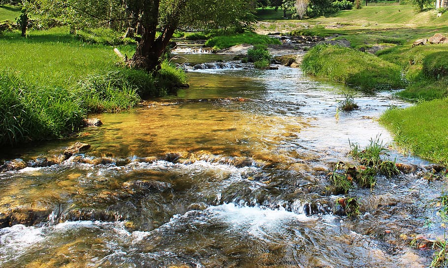 shenandoah valley, virginia, strasburg, stream, rushing water, water, plant, tree, beauty in nature, scenics - nature