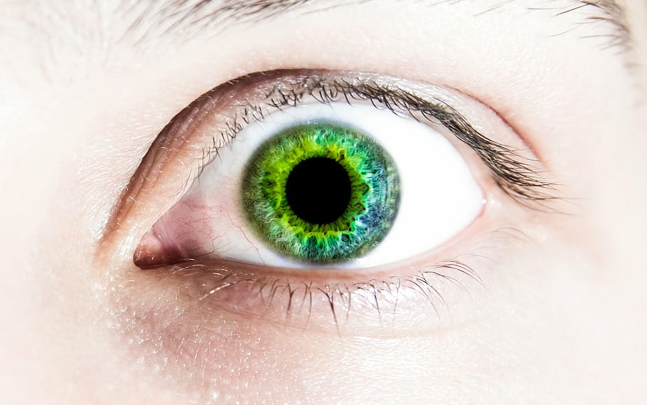 person, left, eye, green, pupil, pupils, face, human eye, human body part, eyelash
