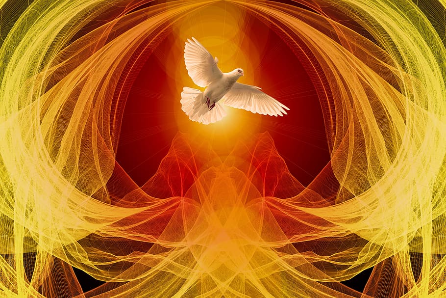 dove, wave, particles, abstract, background, light, holy spirit, pentecost, religion, symbol