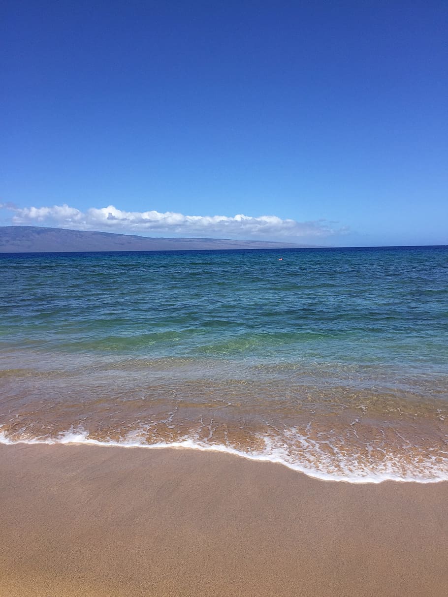대양, 물, 바다, 바닷가, 여행, 하늘, 연안, 휴가, 아쿠아, 하와이