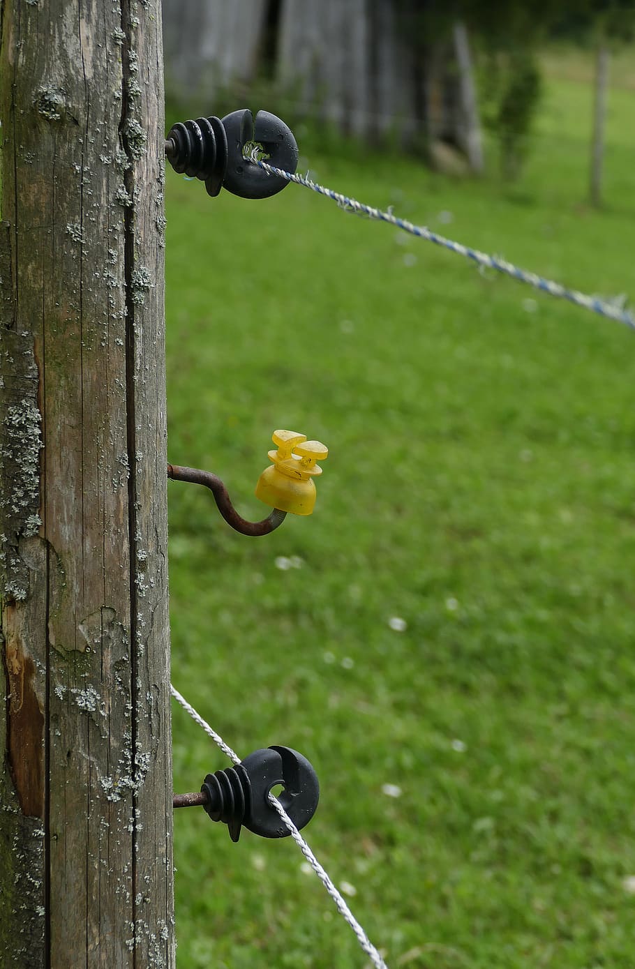 pasture fence, insulating pole, wire, cow pasture, pasture, barrier, electric fence, post, insulators, voltage