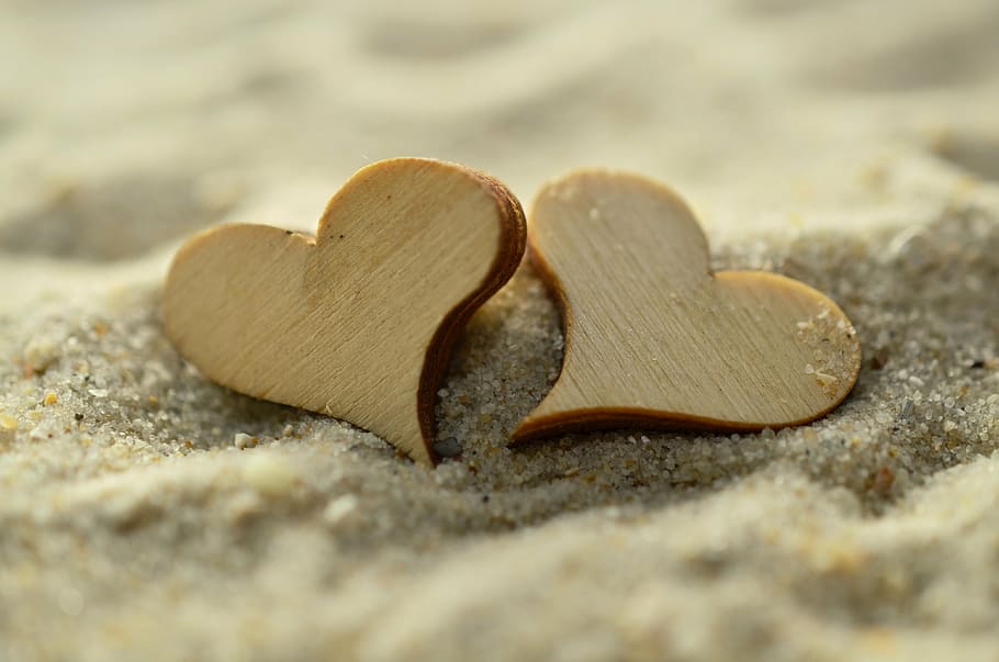 two, wooden, decoration, sand, heart, wood, mussels, beach, symbol, love