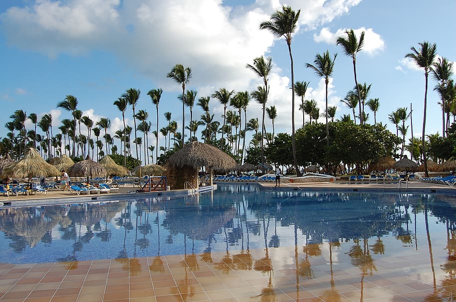 punta cana, caribbean, palms, hotel, nature, beach, pool, dominican republic, water, tree