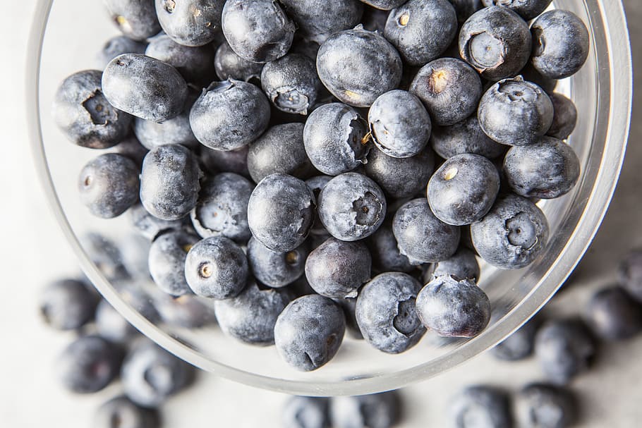 blueberries, glass bowl, captured, canon 5, 5d, Close-up shot, Canon 5D, DSLR, food/Drink, bowl