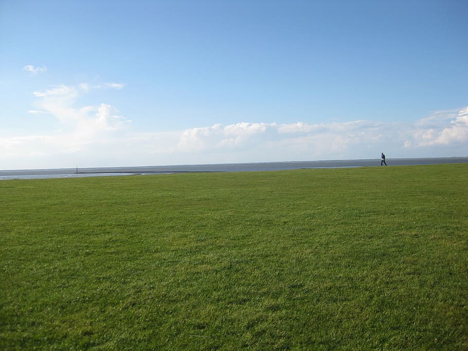 green, lawn grass, cloudy, sky, dike, meadow, horizon, grass, north sea, sea