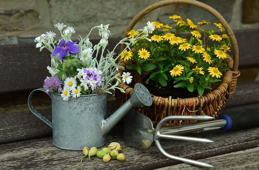 yellow, white, purple, flowers, wooden, surface, garden, still life, gardening, watering can
